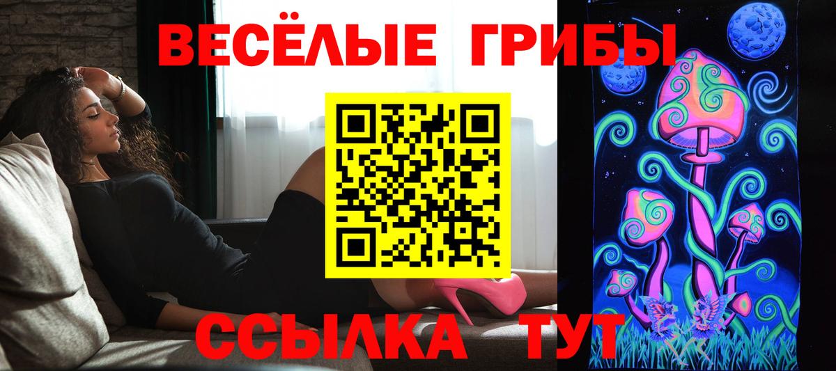 Великий Устюг  Псилоцибиновые грибы ЛСД  Галлюциногенные грибы Psilocybe  Вход с VPN 
